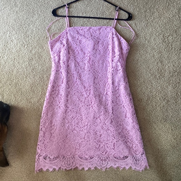 No Ami Lace Shift Dress - Picture 5 of 11